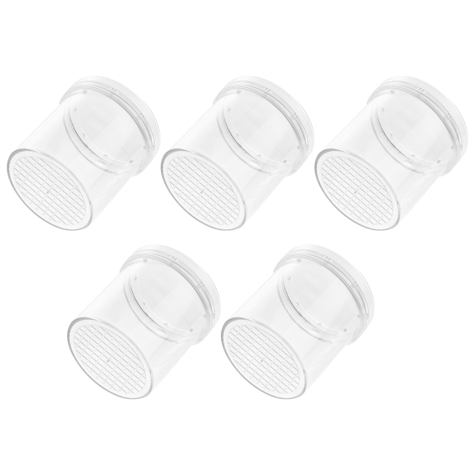 5Pcs Insect Viewer Magnifier f - Science Nature ulasan dan harga