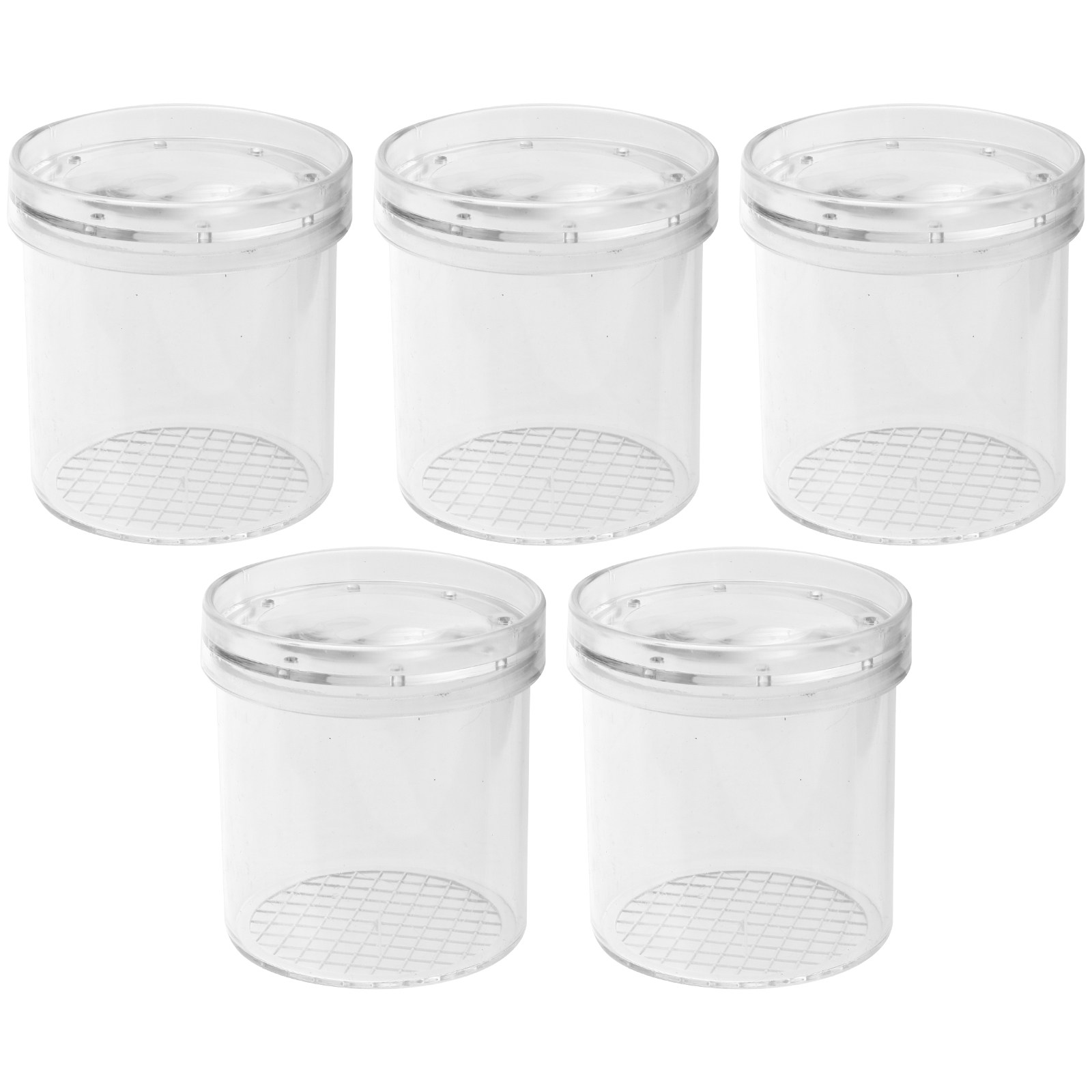5Pcs Insect Viewer Magnifier f - Science Nature ulasan dan harga