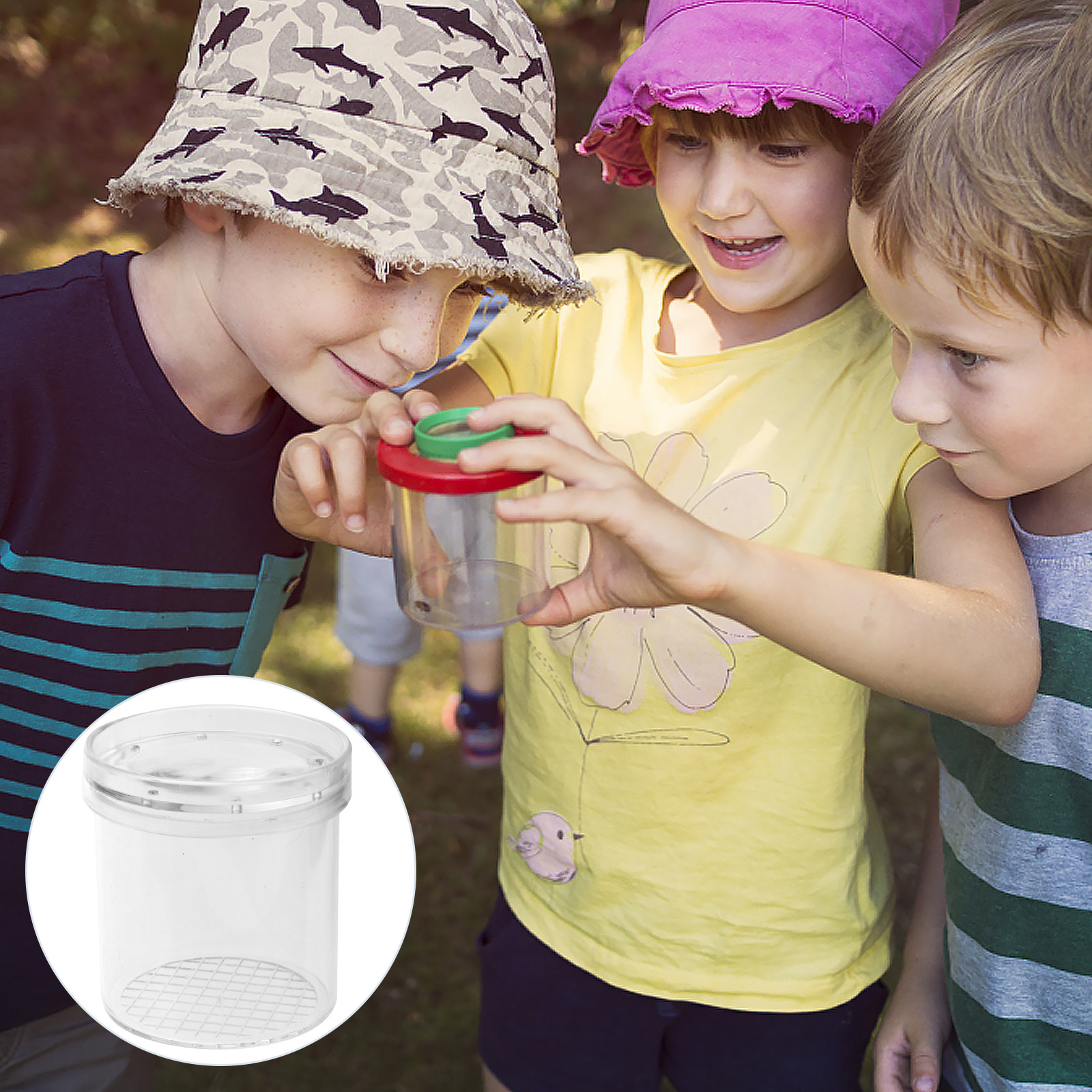 5Pcs Insect Viewer Magnifier f - Science Nature ulasan dan harga