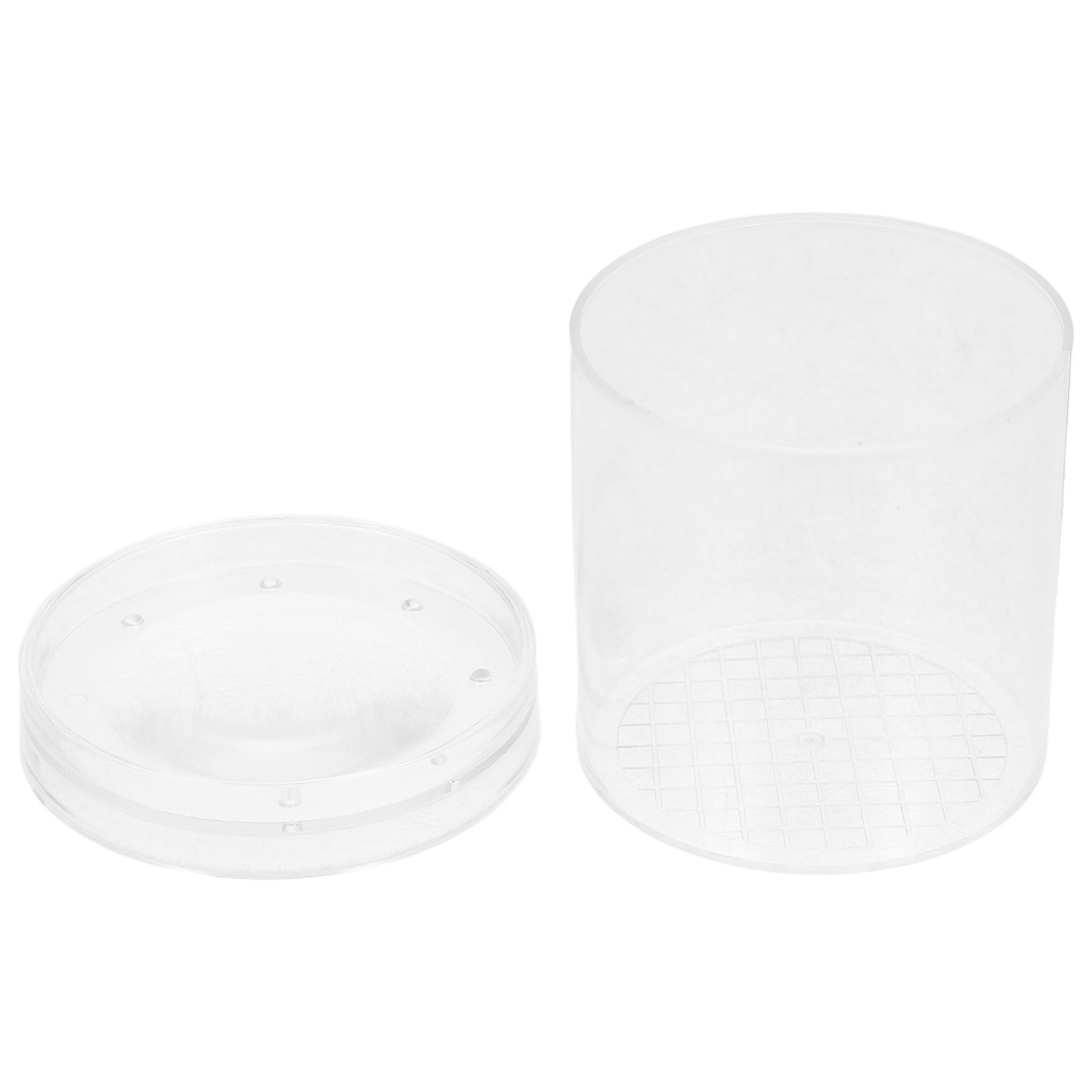 Insect Observation Box 3X Magn - Science Nature ulasan dan harga
