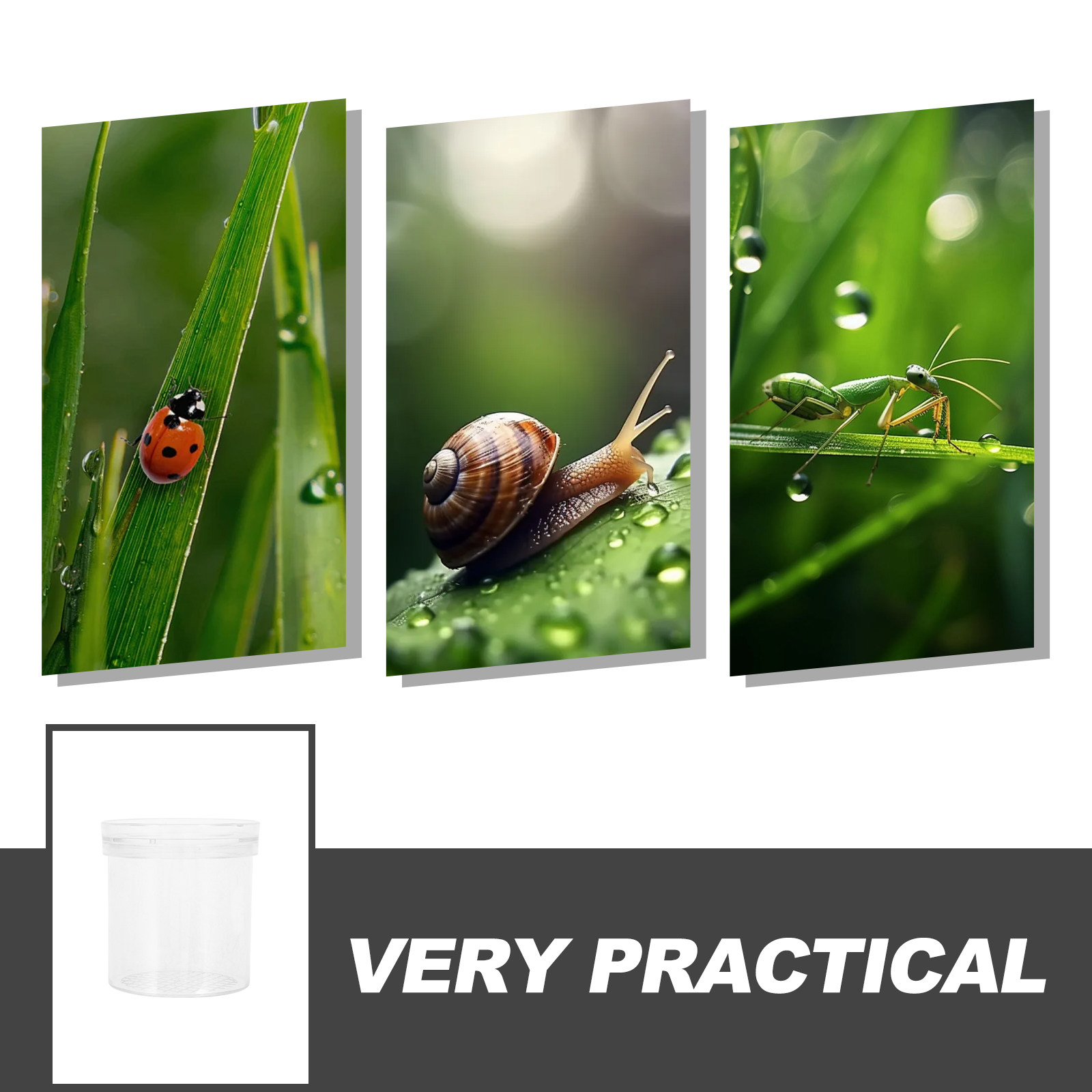 Insect Observation Box 3X Magn - Science Nature ulasan dan harga