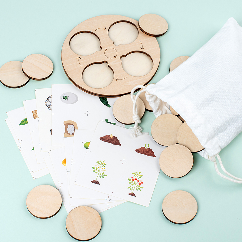 Life Cycle Board Montessori Ki - Science Nature ulasan dan harga