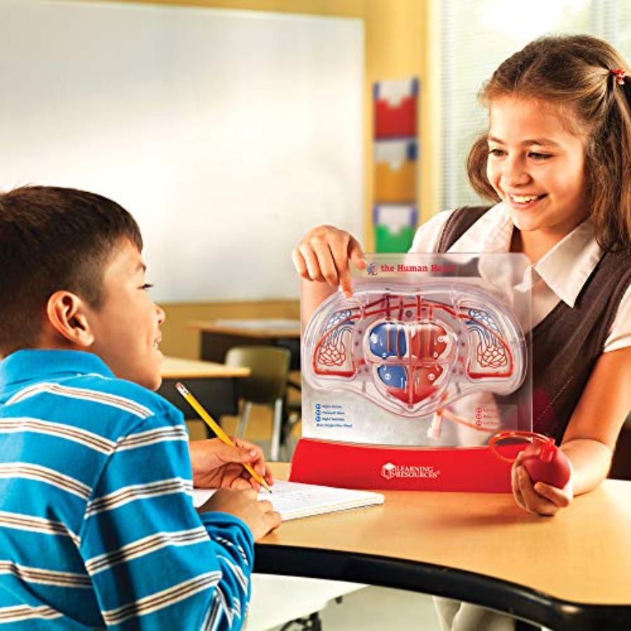 Science classroom STEM anatomy - Science Nature ulasan dan harga