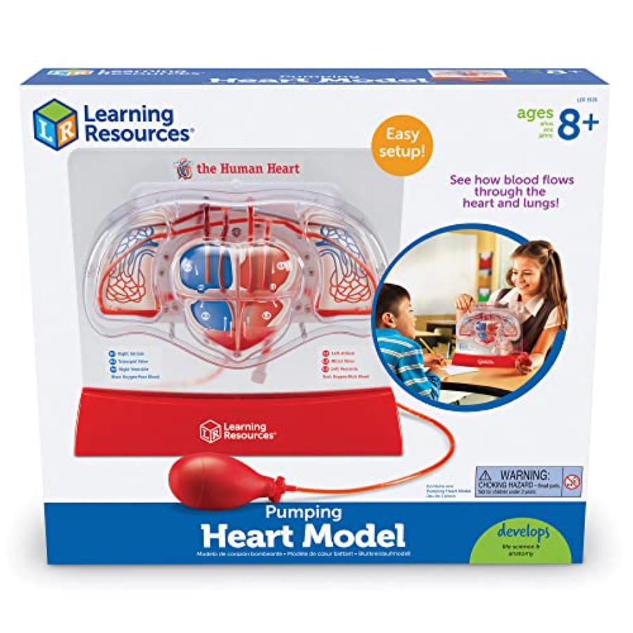 Science classroom STEM anatomy - Science Nature ulasan dan harga